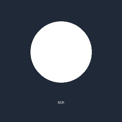 نيونق دينق راو